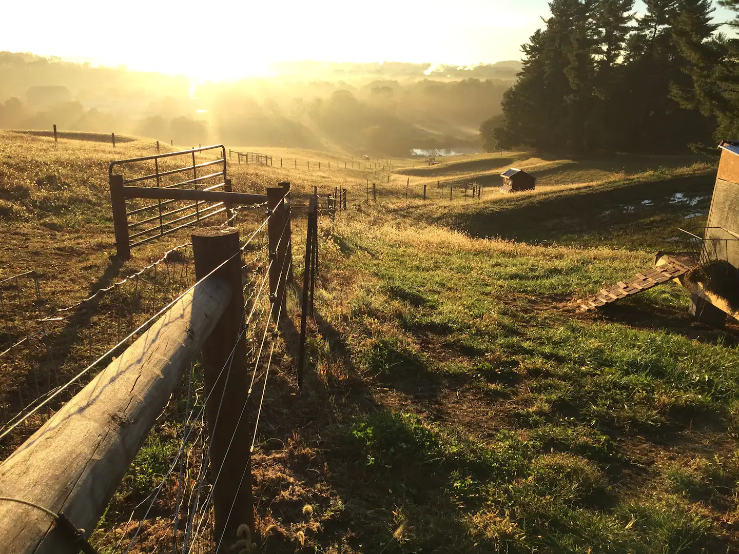 Pastures view from house