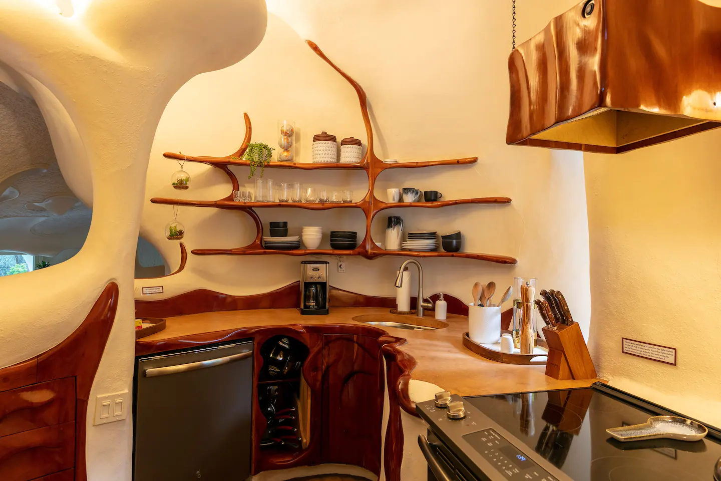 A bright and vivid kitchen area.