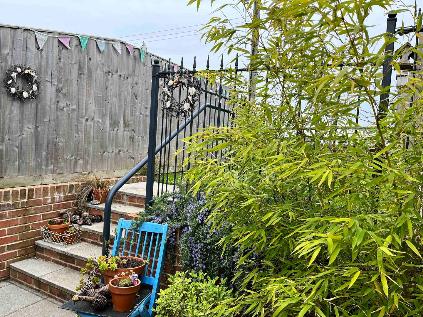 Our little garden is safe and secure for children and dogs.